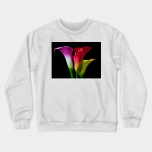 Three Colors Calla Lilies Crewneck Sweatshirt